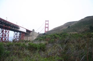 IMG_7724