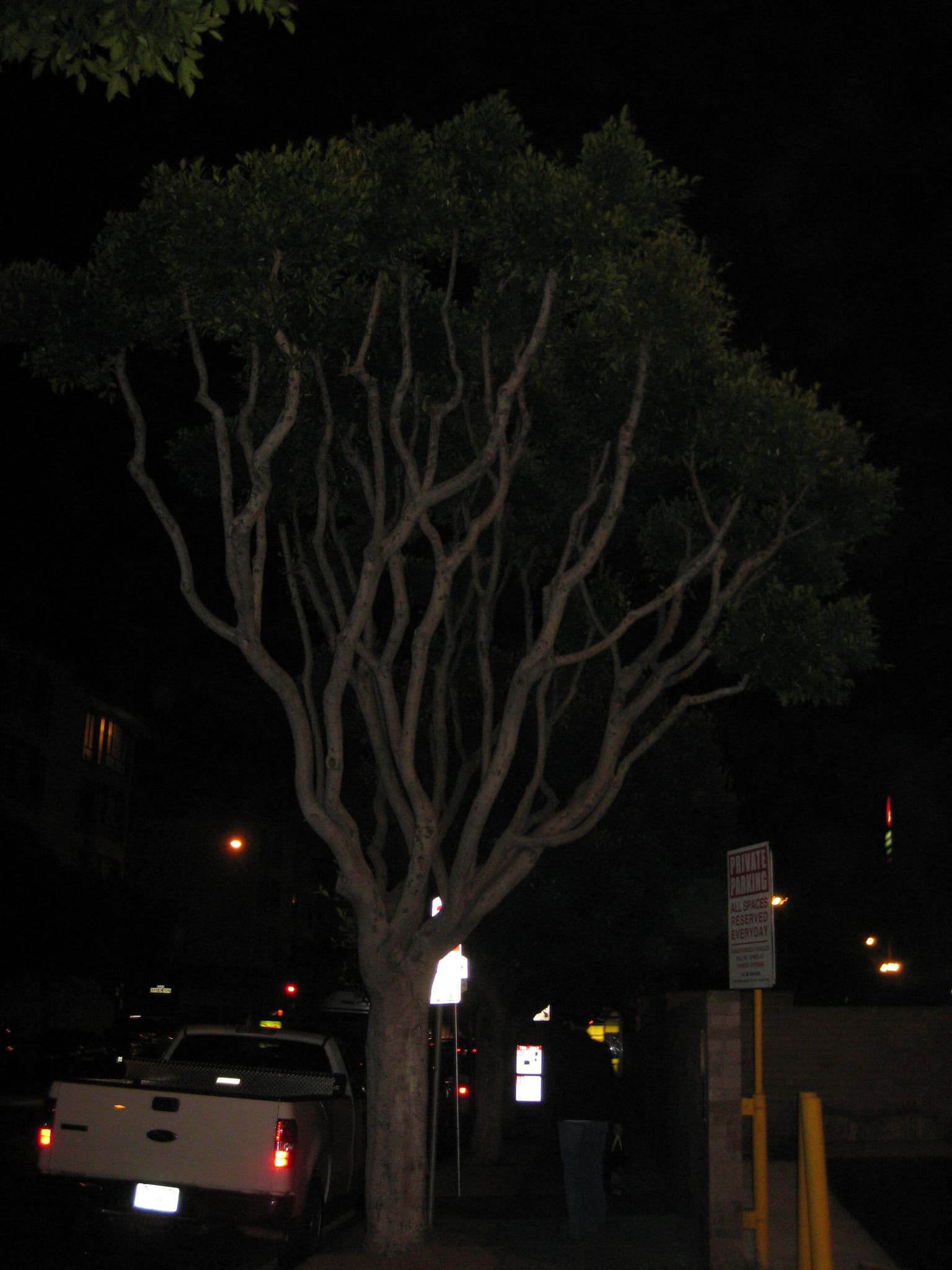SanFranciscoTrip 033