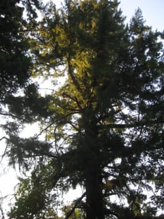 SanFranciscoTrip 039