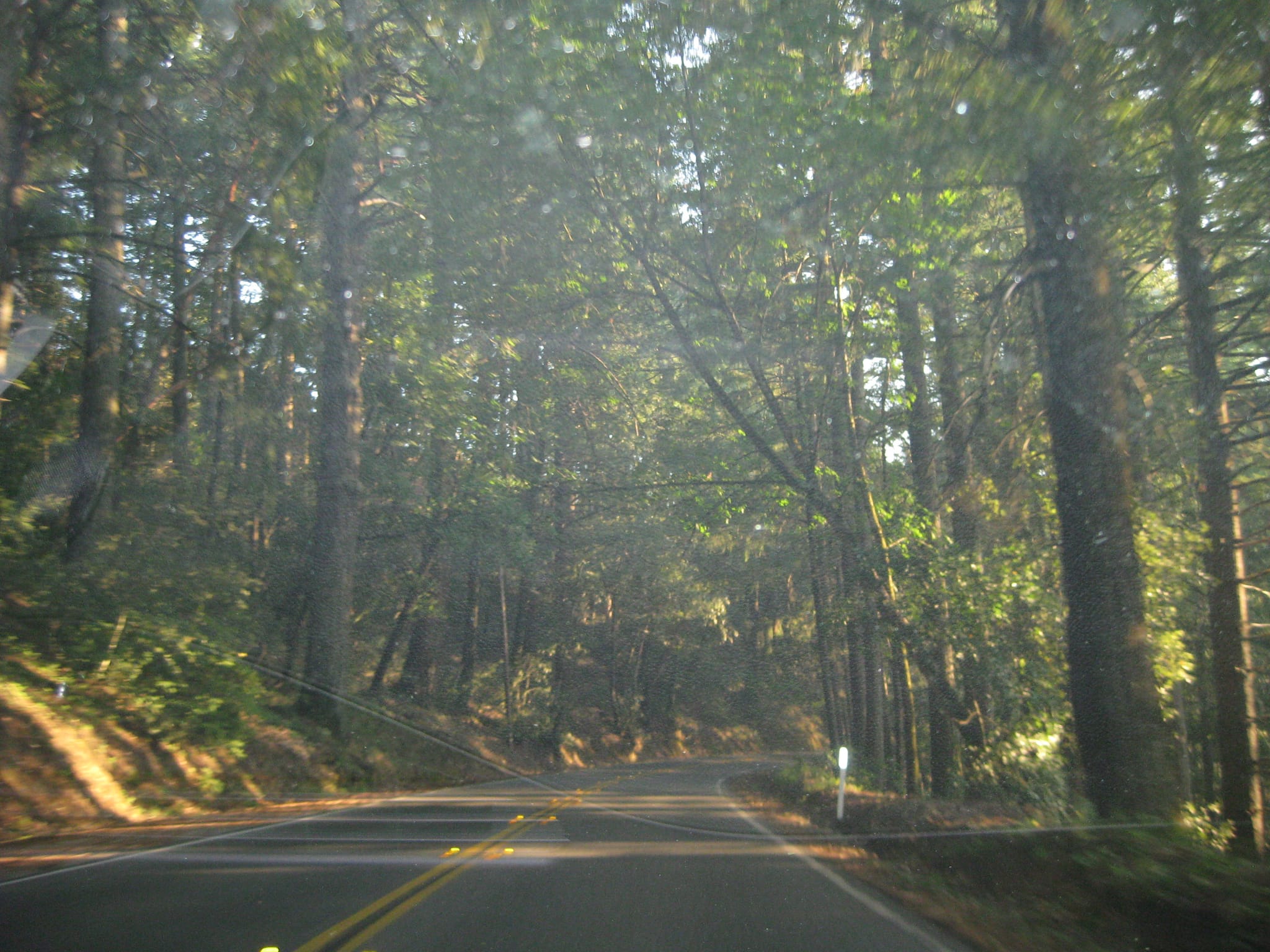SanFranciscoTrip 042