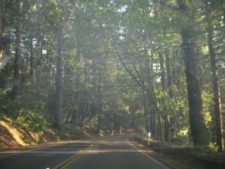 SanFranciscoTrip 042