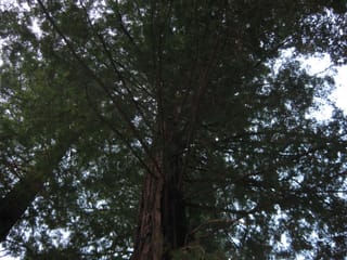 SanFranciscoTrip 049