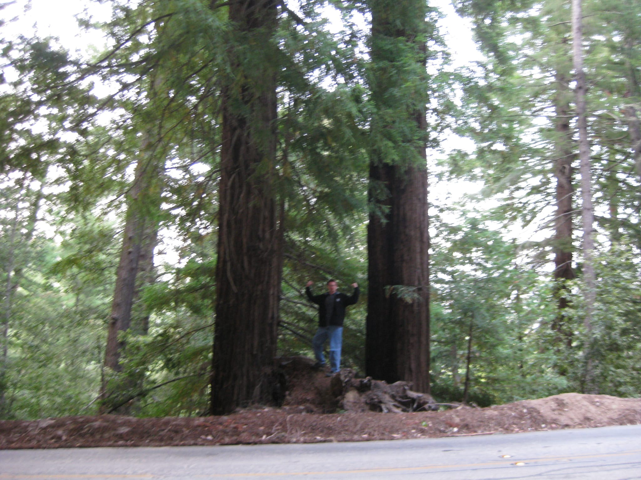 SanFranciscoTrip 060