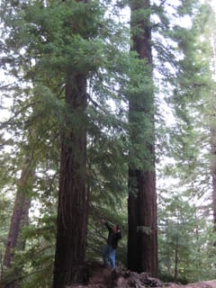 SanFranciscoTrip 062