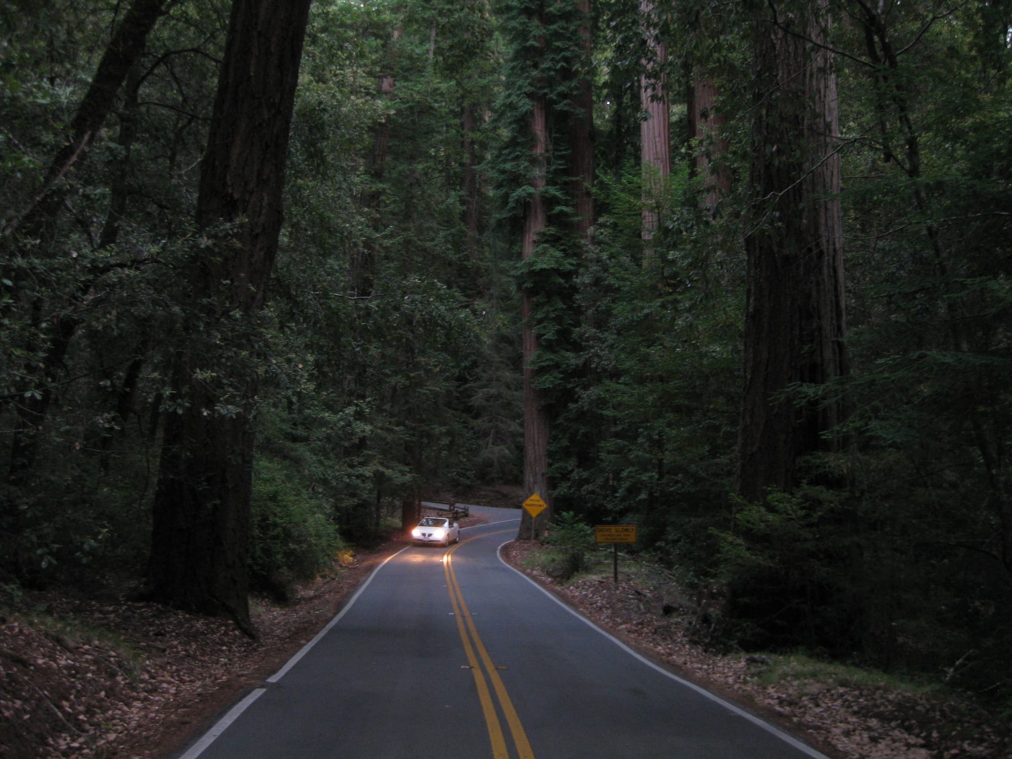 SanFranciscoTrip 085