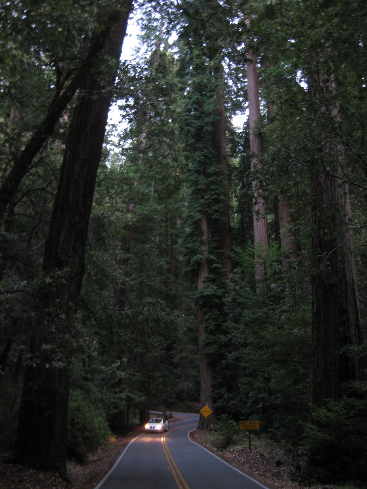 SanFranciscoTrip 086