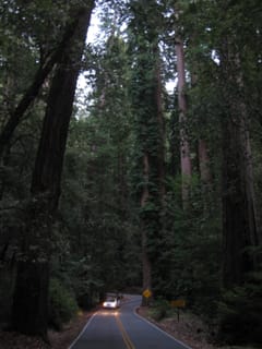 SanFranciscoTrip 086