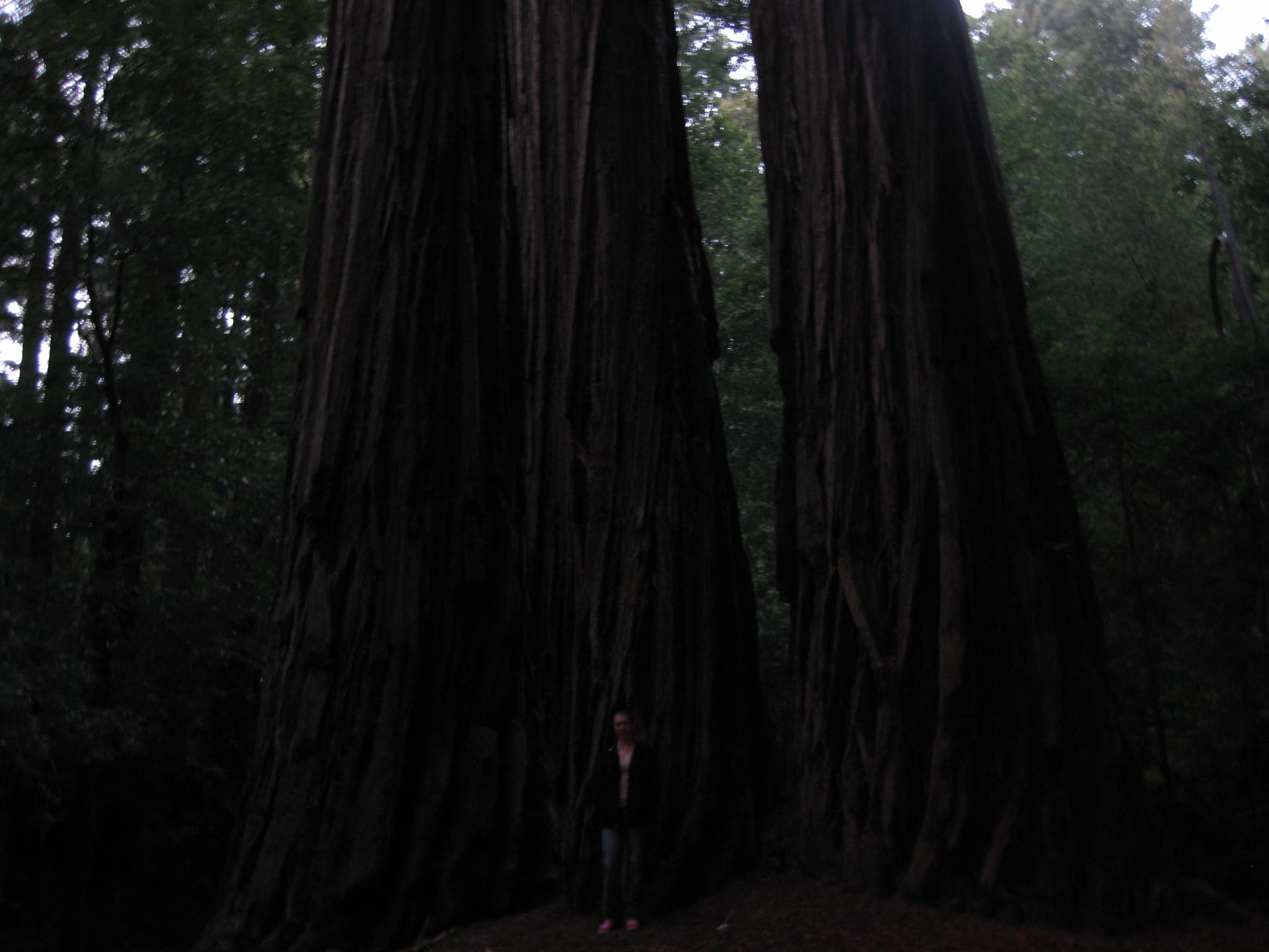 SanFranciscoTrip 091