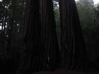 SanFranciscoTrip 091