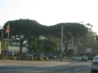 SanFranciscoTrip 036