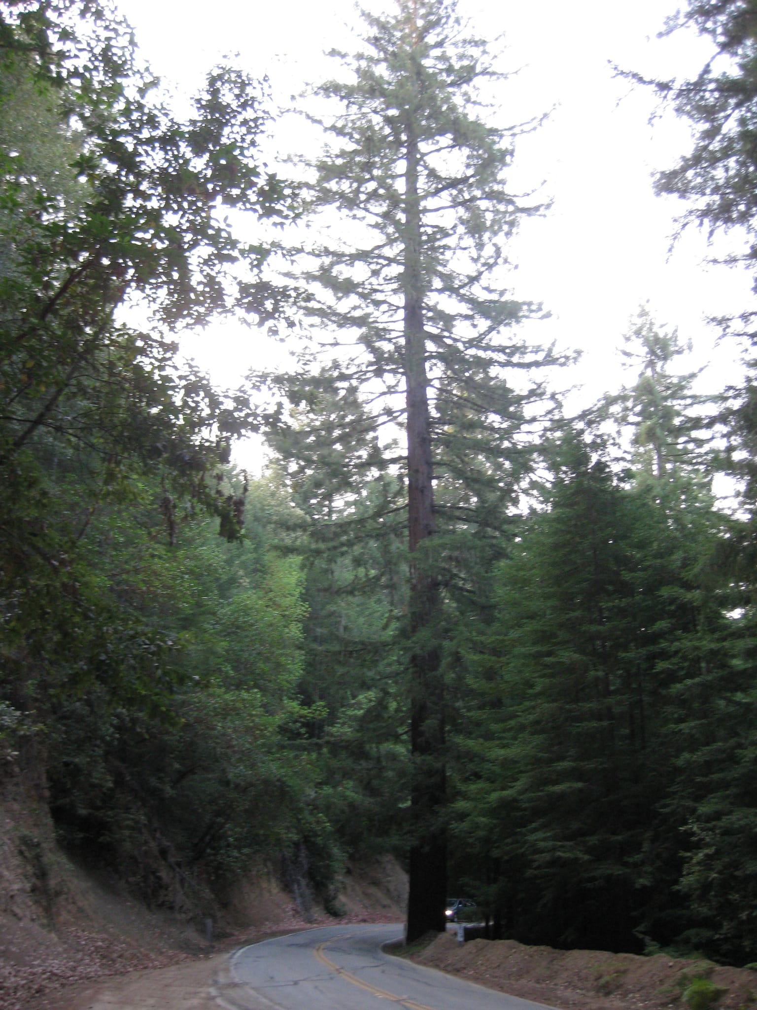 SanFranciscoTrip 046