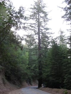 SanFranciscoTrip 046