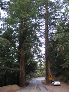 SanFranciscoTrip 055