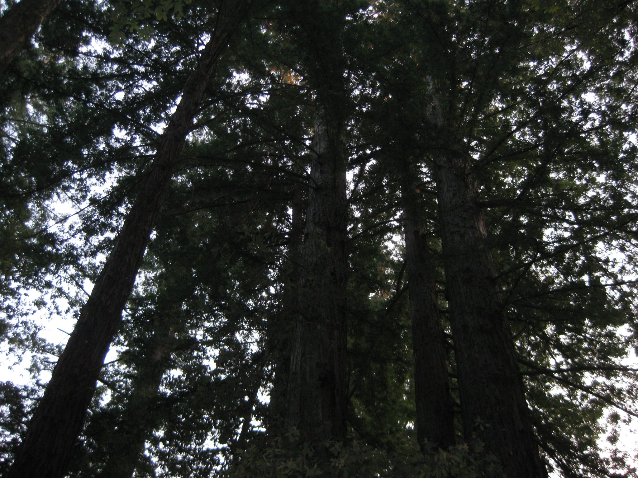 SanFranciscoTrip 068