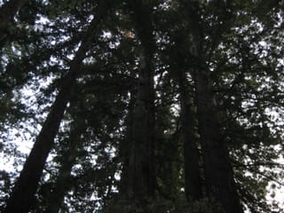 SanFranciscoTrip 068