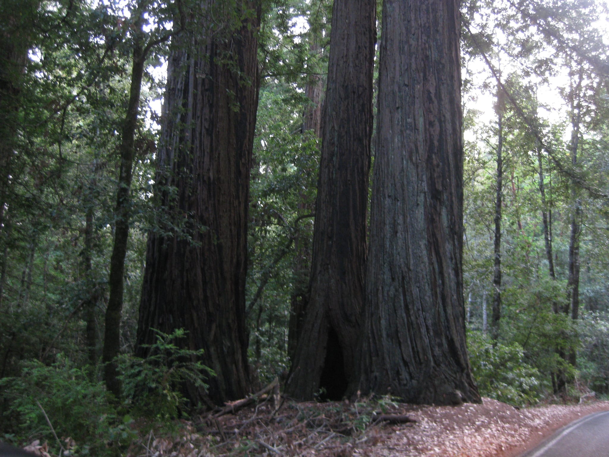 SanFranciscoTrip 069