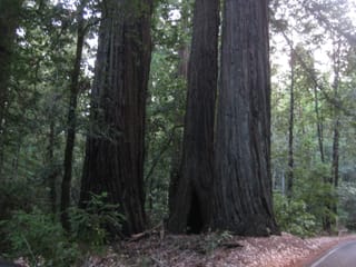 SanFranciscoTrip 069