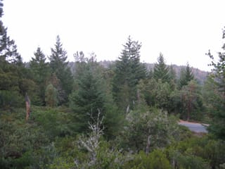 SanFranciscoTrip 073