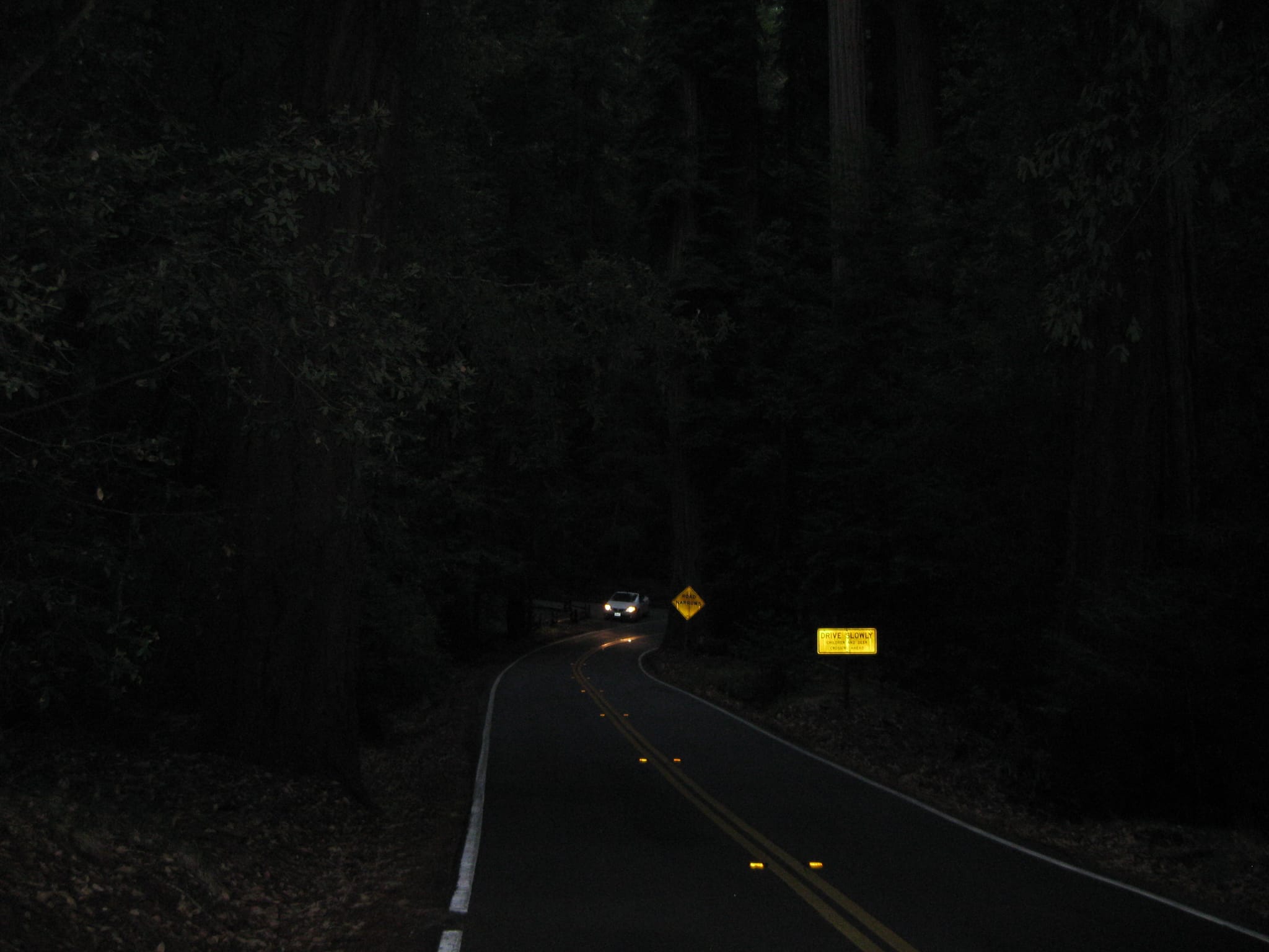 SanFranciscoTrip 084