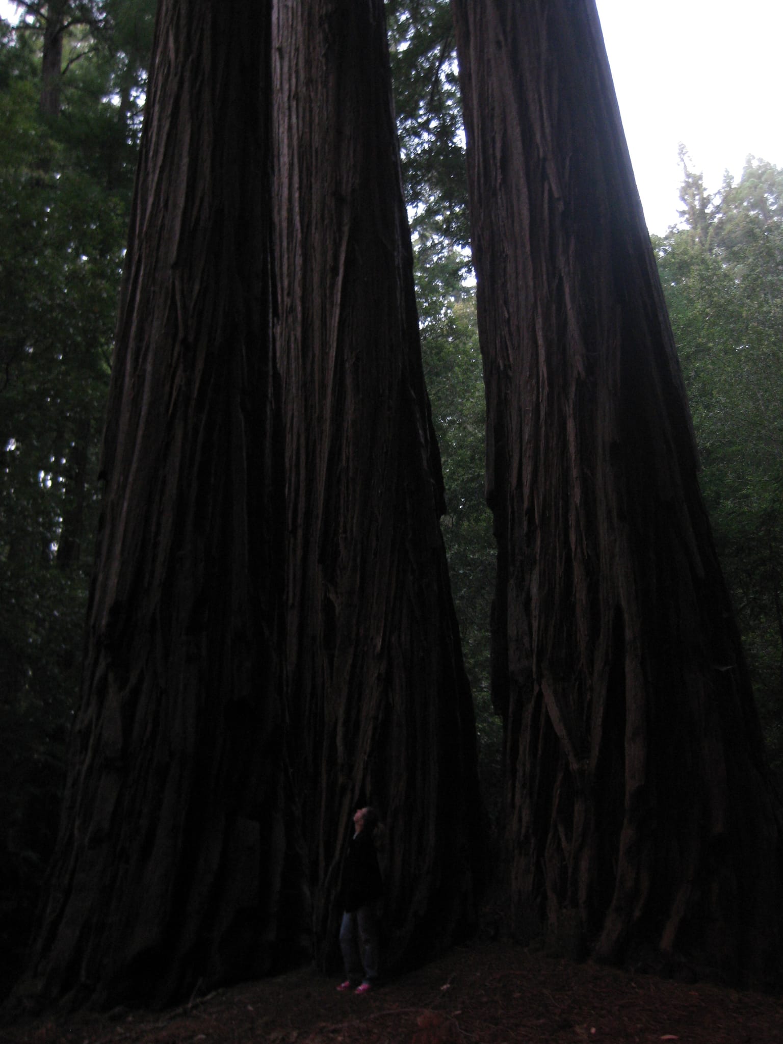 SanFranciscoTrip 092