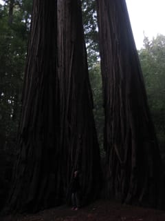 SanFranciscoTrip 092