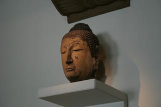 IMG_7657