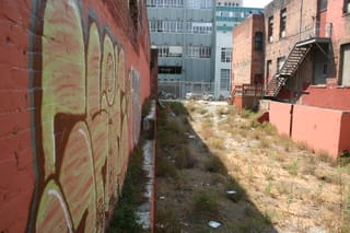IMG_7470