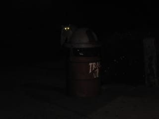 IMG_1234