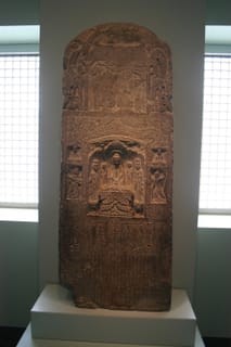 IMG_7525