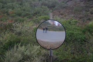 IMG_7733
