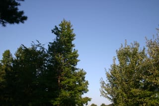 IMG_8351