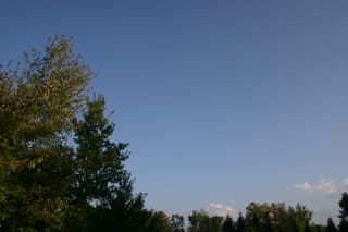 IMG_8348