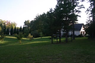 IMG_8330