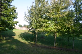 IMG_8334