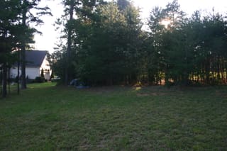 IMG_8343