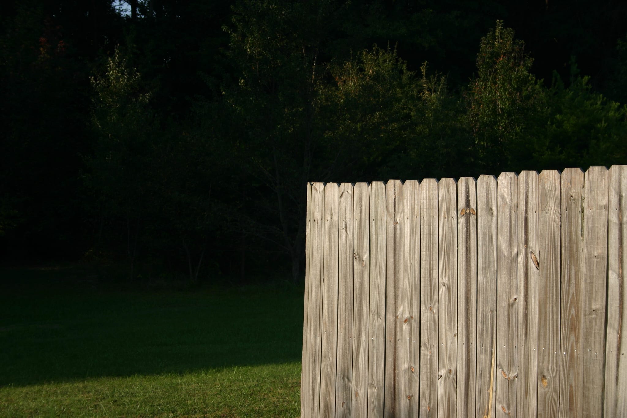 Kyla Fence