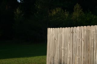 Kyla Fence