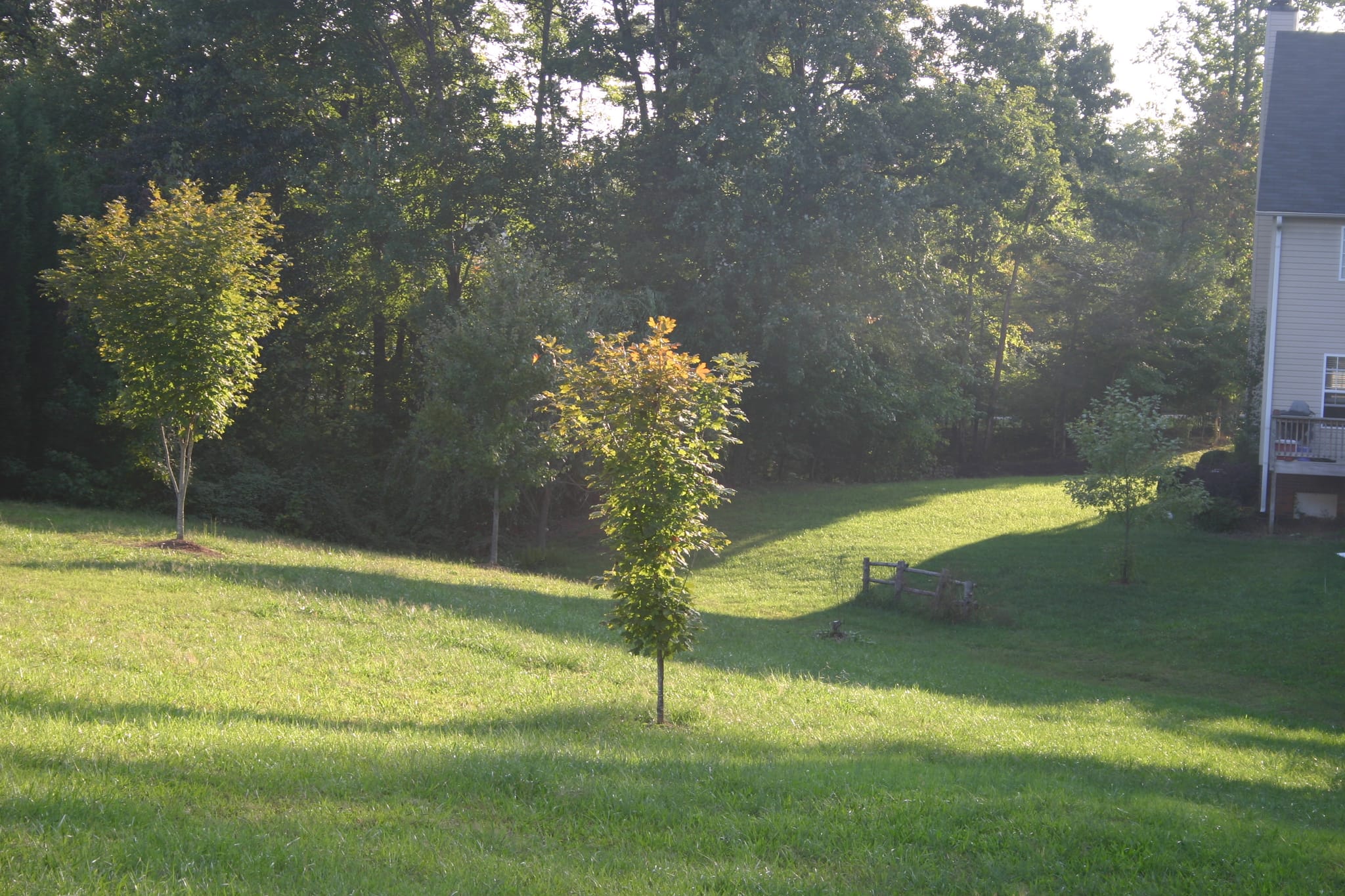 Kyla Backyard - fence
