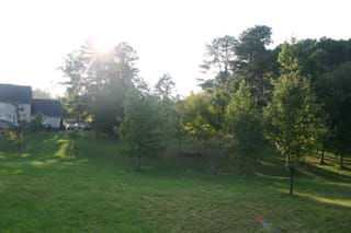 Kyla Backyard