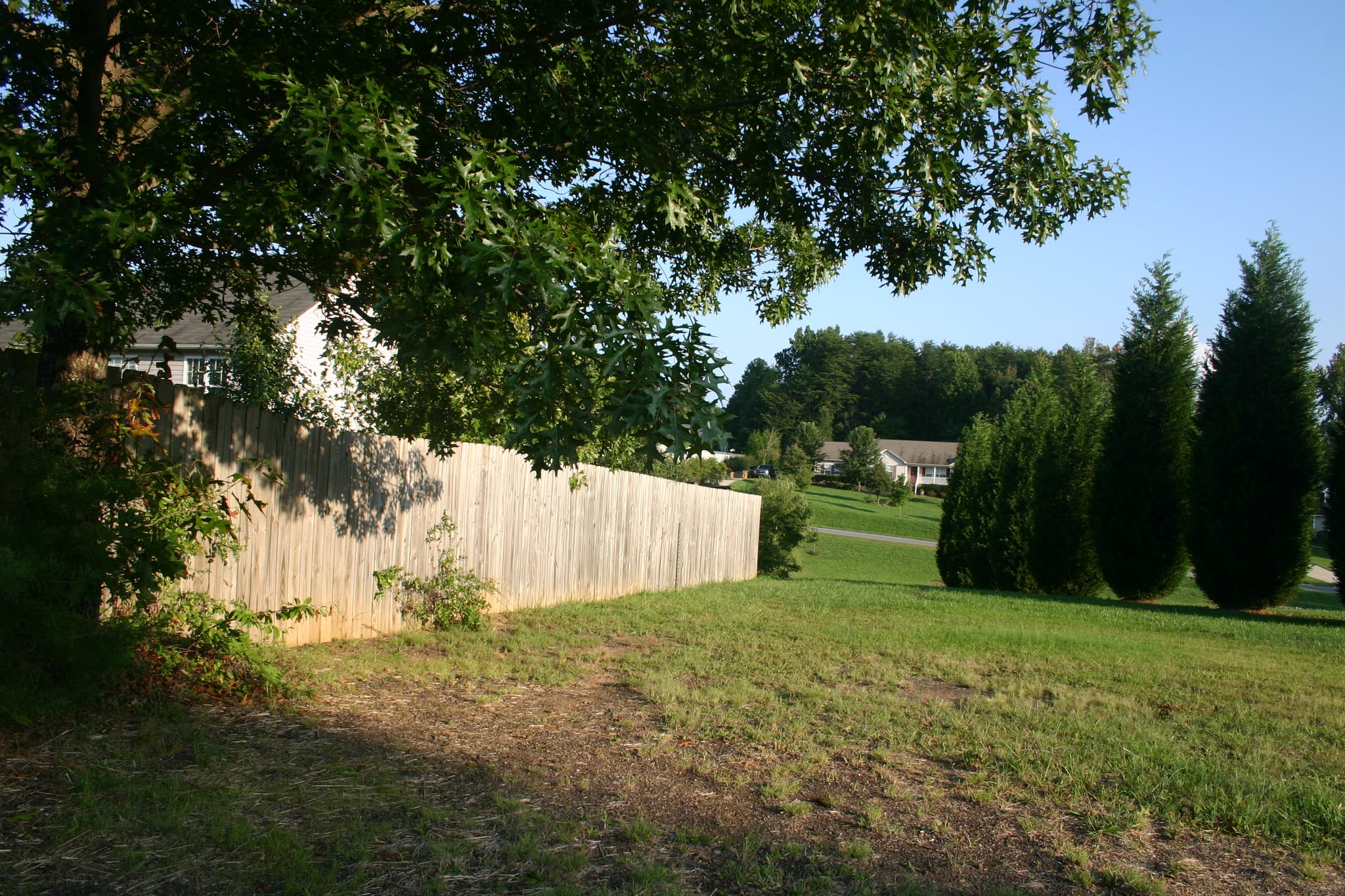 Kyla far backyard