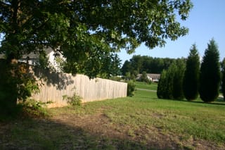 Kyla far backyard