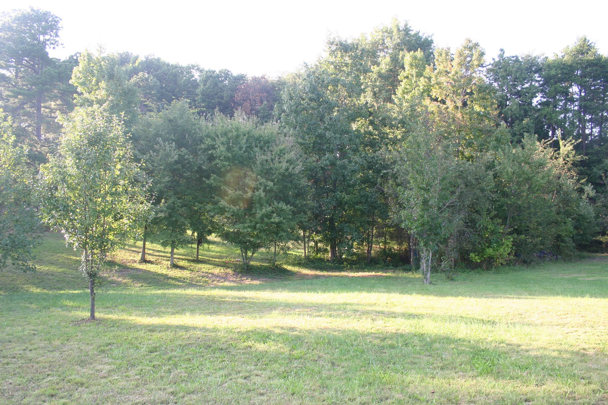 IMG_8363