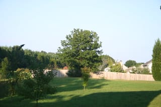 IMG_8392