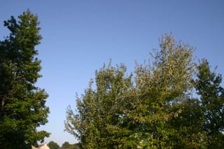 IMG_8350