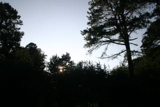 IMG_8358