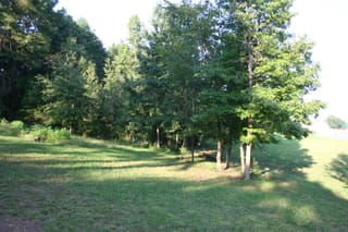 IMG_8336