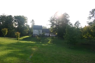 Kyla Backyard