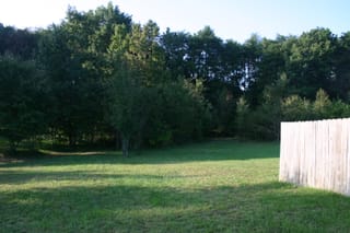 IMG_8362