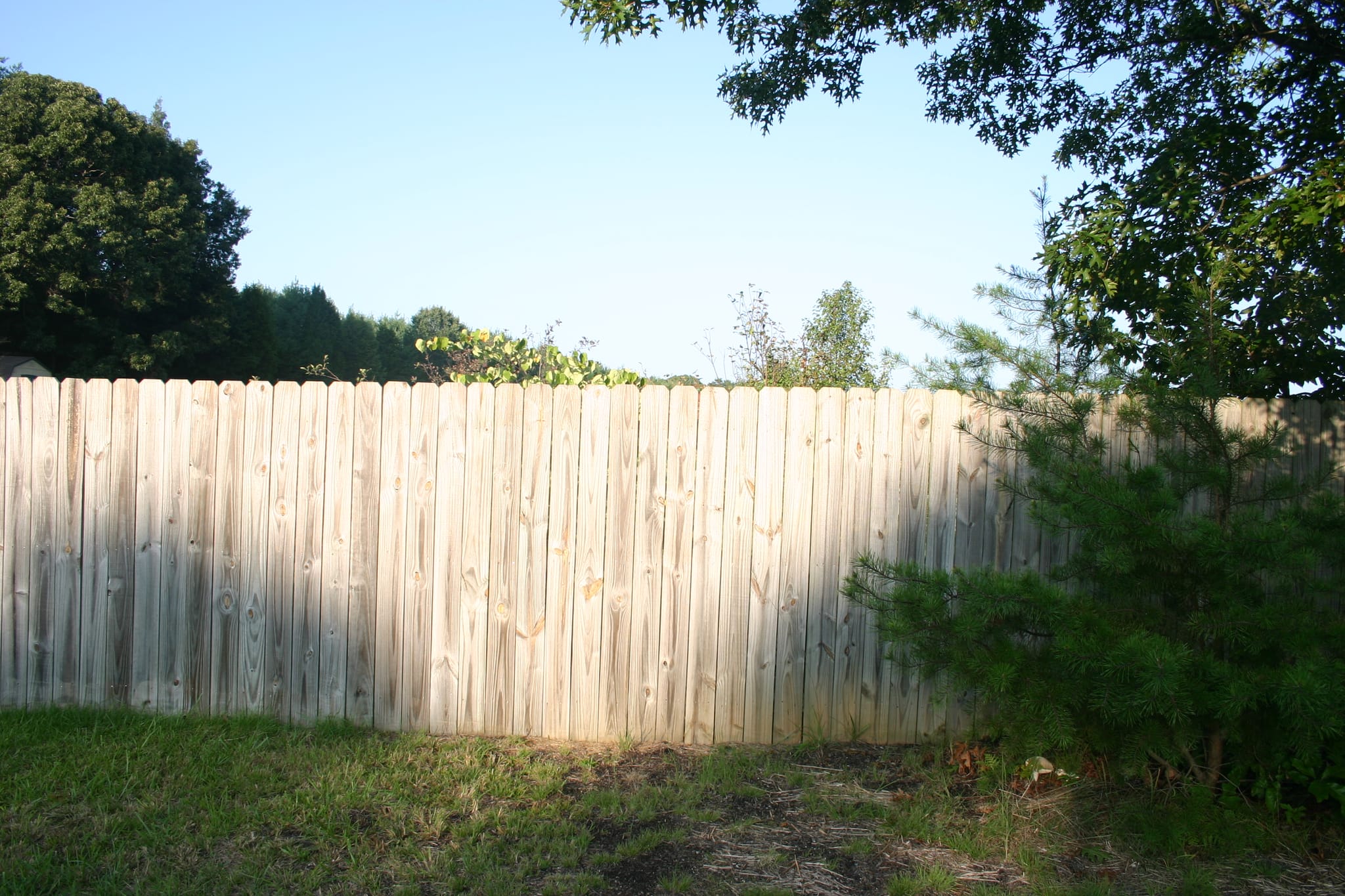 Kyla Fence