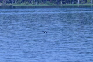 IMG_8505